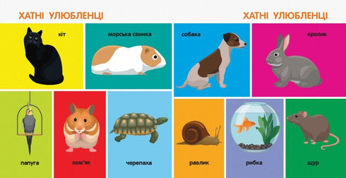 100 animals. Smart books