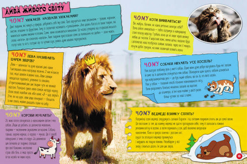 100 answers to the question WHY?