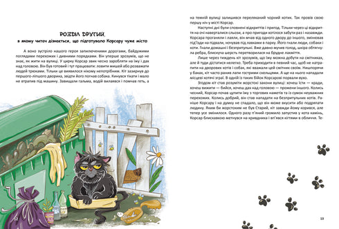 Corsaire, ou une histoire duveteuse avec des griffes