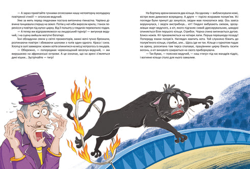 Corsaire, ou une histoire duveteuse avec des griffes