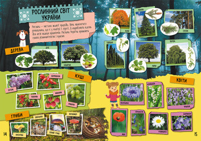 Моя рідна Україна