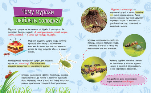 Pourquoi es-tu si mignon ? Insectes