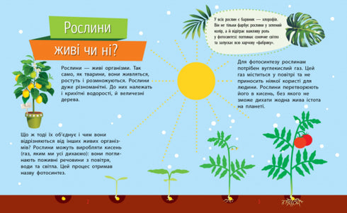 Pourquoi es-tu si mignon ? Plantes