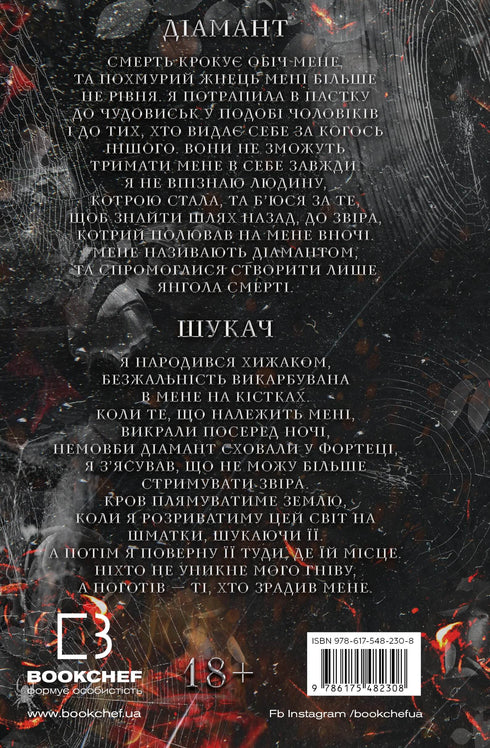 Un jeu de chat et de souris. Livre 2 : La traque d'Adelina