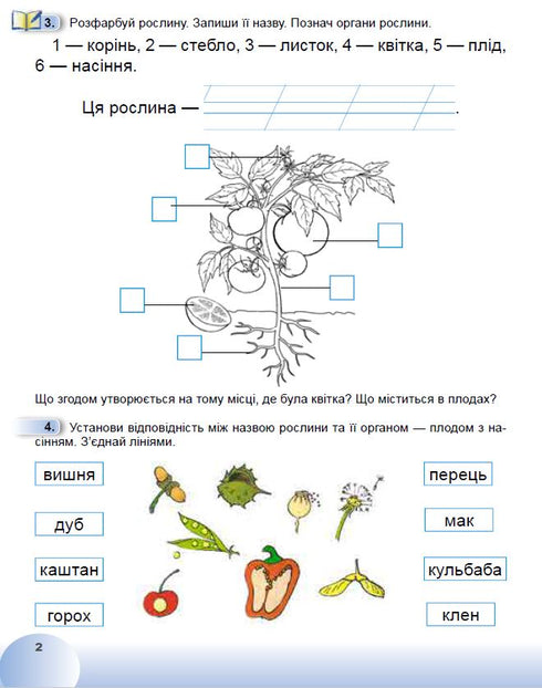 Я досліджую світ. 1 клас. Робочий зошит з інтегрованого курсу. Ч.2 НУШ