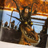 Dragon Games