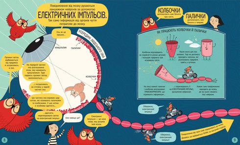 Le livre sur le cerveau et comment il fonctionne