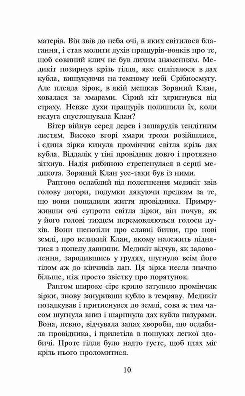 Warrior Cats. Book 4. The Storm Rises