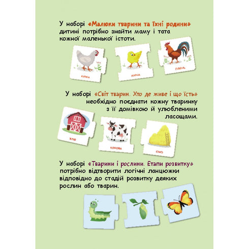 Логічні ланцюжки. Світ тварин. Хто де живе і що їсть