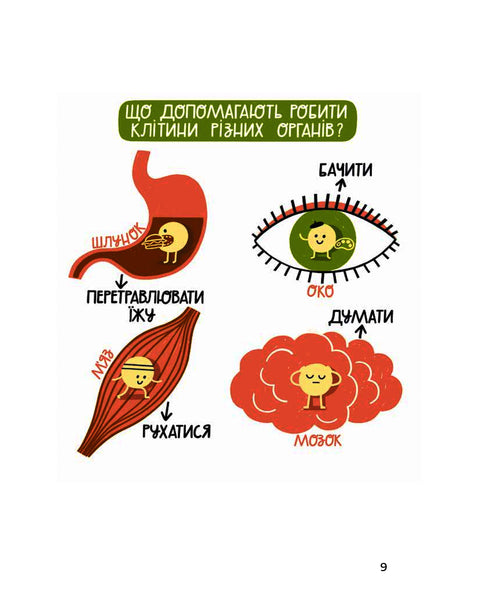 Interdit aux microbes ! Livre sur les vaccins