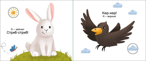 My Fold-Out Book. In the Forest