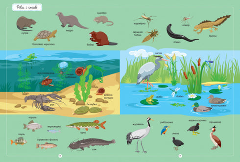 Le meilleur dictionnaire des animaux