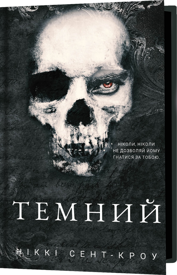 Les garçons perdus débauchés. Livre 2. Sombre