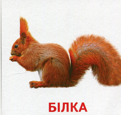 Animaux et oiseaux d'Ukraine