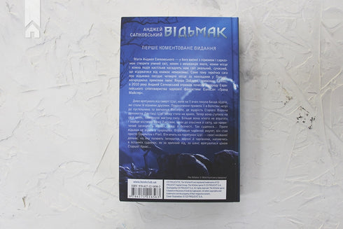 The Witcher. Tower of the Swallow. Book 6