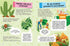 The Great Encyclopedia for the Why-Not