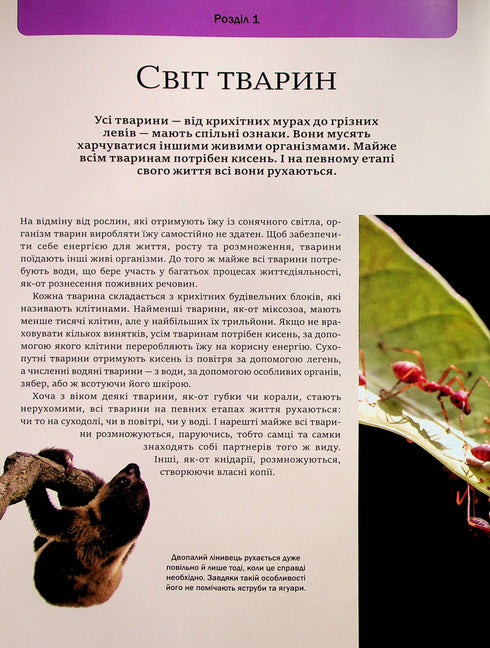 Велика книга тварин