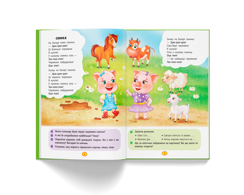 Rhymes-torokhtushky-lepetushky - 9786175472781