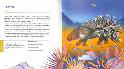 Українські диковиська