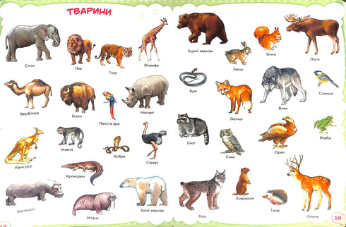 Babies about everything in the world