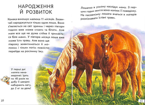 Mini-encyclopédies. Tout sur les chevaux (épuisé)