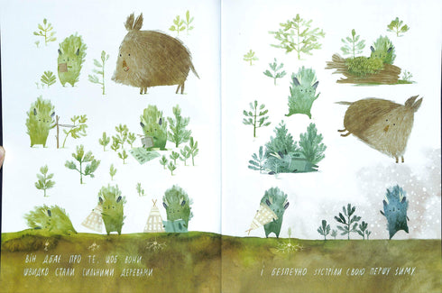 Anniversaire du sapin