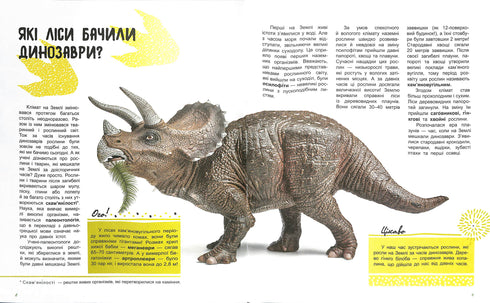 Le monde et ses mystères : La vie de la forêt