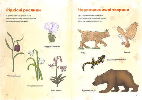 Le Noël et le mystère de la vallée enchantée