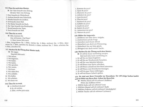 Grammaire pratique de la langue allemande