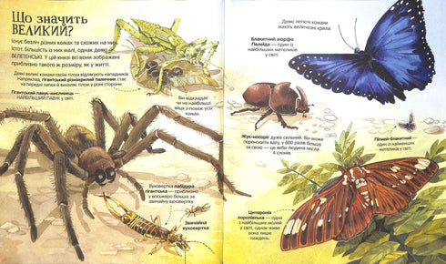 Le grand livre des insectes et pas seulement