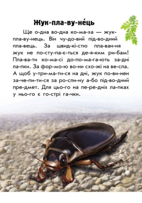 Моя Україна. Читаємо по складах: Тваринний світ річок і морів
