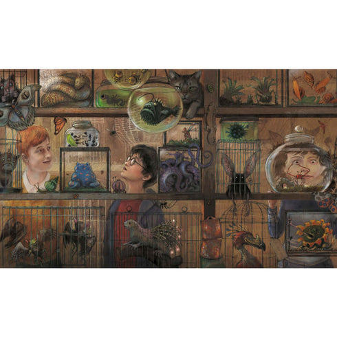 Harry Potter à l'école des sorciers. Grande édition illustrée. Tome 3 (édition ukrainienne)
