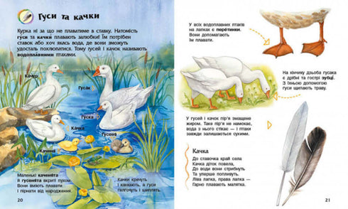 Encyclopédie du jardin d'enfants. Animaux domestiques