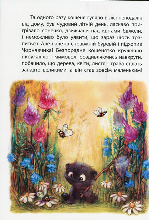 Країна Замазурія