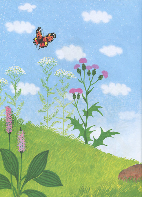 Кротик. Велика книга