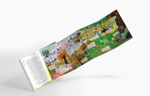 Le Noël et le mystère de la vallée enchantée