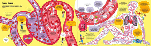 Le grand livre sur le corps